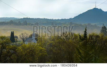 Church sitting amongst the trees with the fog sitting behind it