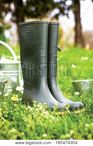 Spring garden. Water can with cherry flowers. Spring grass with flowers