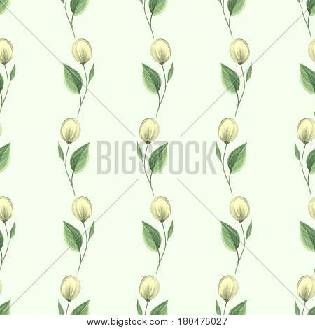 Hand drawn watercolor floral seamless pattern. Background with flowers