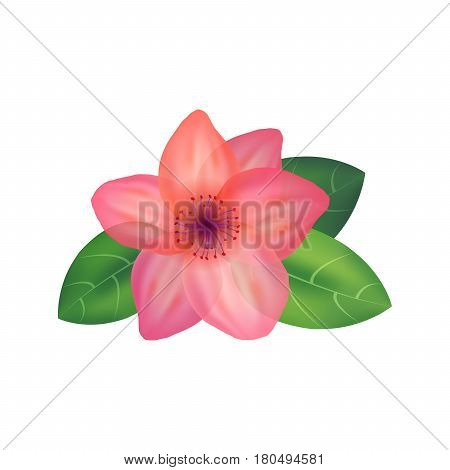 Red flower with leaves . Vector illustration