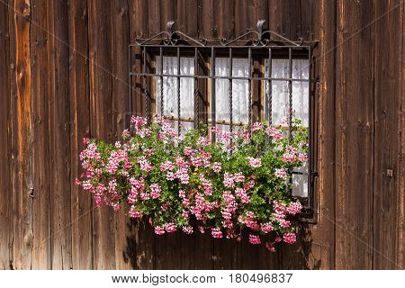 Barred window with flowers in ancient country house with rough wooden walls. Traditional wabi-sabi aesthetic worldview.