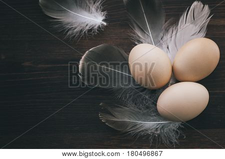 Chicken eggs on a brown wooden surface among feathers view from the top