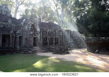 On the small inner courtyard of the Angkor Wat through the branches of the trees are rays of light.