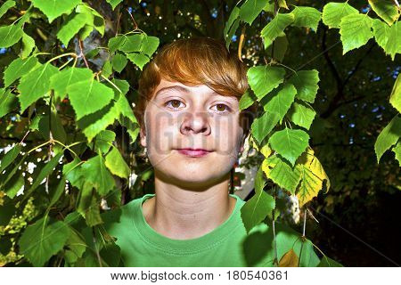 Cute Smart Boy In The Garden Under The  Tree