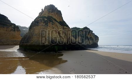 Rocks In A Mirror