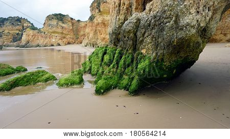 Rocks On The Beach