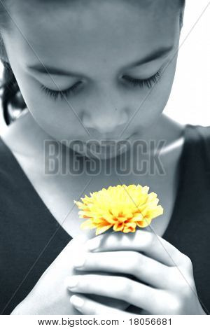 Junges Mädchen schätzen die Schönheit der eine einzelne gelbe Chrysantheme. Zweifarbig dargestellt.
