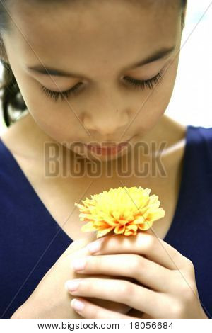 Apreciar la belleza de un crisantemo amarillo solo joven.