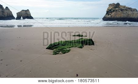 Rocks On The Beach