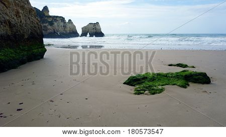 Rocks On The Beach