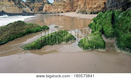 Rocks On The Beach