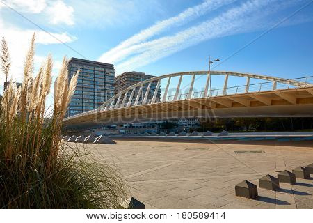 Valencia Alameda exposicion bridge on Turia river park