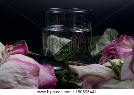 Three withered roses around the glass on black background