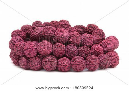 Seeds of the sacred Rudraksha tree. Close-up