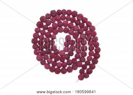 Seeds of the sacred Rudraksha tree. Close-up