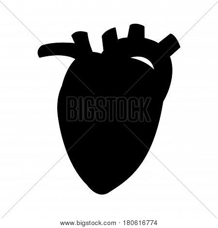 human heart icon image vector illustration design  black silhouette