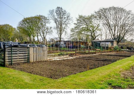 allotment in springtime with newly prepared plot and new growth.