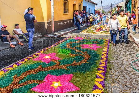 Antigua, Guatemala - March 26 2017: Locals make dyed sawdust Lent procession carpet in colonial town with most famous Holy Week celebrations in Latin America.