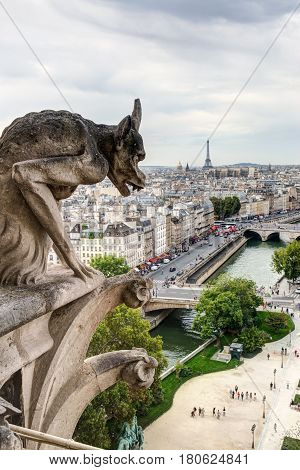 Chimera (gargoyle) of the Cathedral of Notre Dame de Paris overlooking the Eiffel Tower in Paris, France