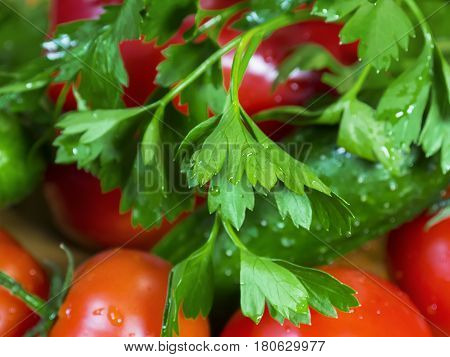 The parsley and fresh vegetables close up