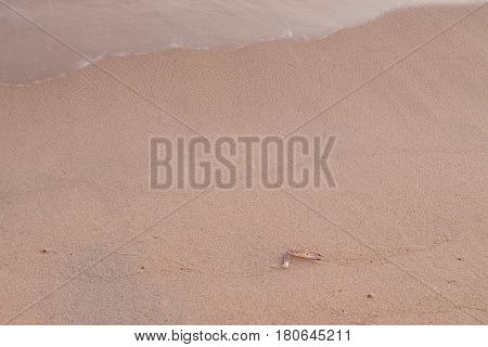 Seashore texture, Line water foam over clean sand.