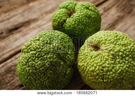 Osage Orange Apple Maclura Exotic Tropical Fresh Fruit Natural Decoration Alternative Medicine Pharmacology Concept