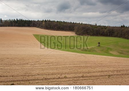 Sown field in spring. Overcast day. Countryside.