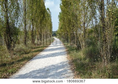 Park of Grugnotorto (Lombardy Italy) between Milan and Brianza in autumn. A path for bicycle and pedestrian