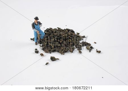 the mini ature worker work with tea
