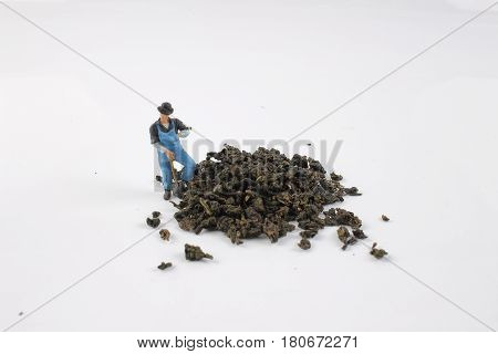 the mini ature worker work with tea