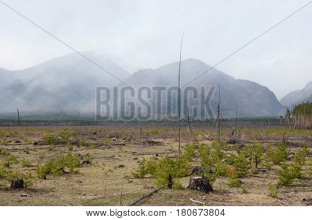 Deserted Meadow In The Spring At The Foot Of Sayan Mountains, Tunkinskaya Valley, Buryatia