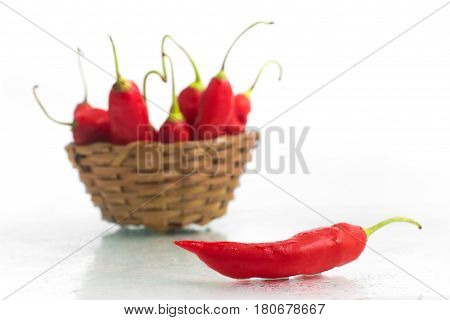 Dedo De Moca Chilly Pepper