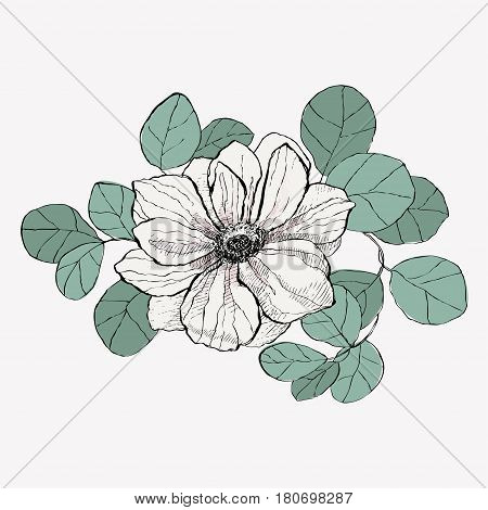 Vector vintage anemone. Hand drawn illustration. Great for wedding invitations, birthday, valentine's, save the date and greeting cards.