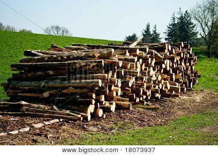 Woodpile