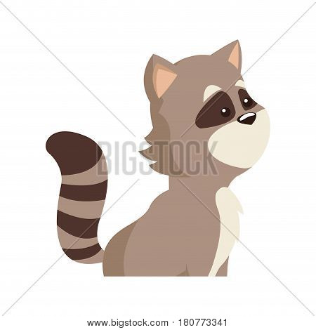 cute raccon animal, cartoon icon over white background. colorful design. vector illustration
