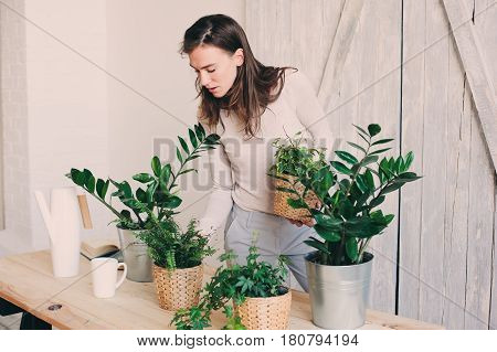 young woman watering flowerpots at home. Casual lifestyle series in modern scandinavian interior