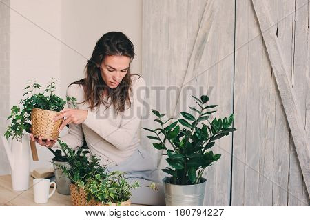 young woman watering flowerpots at home. Casual lifestyle series in modern scandinavian interior