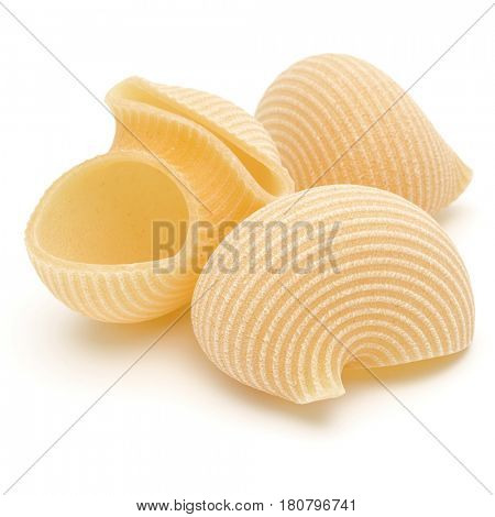 Italian lumaconi isolated on white background. Lumache, snailshell shaped pasta.
