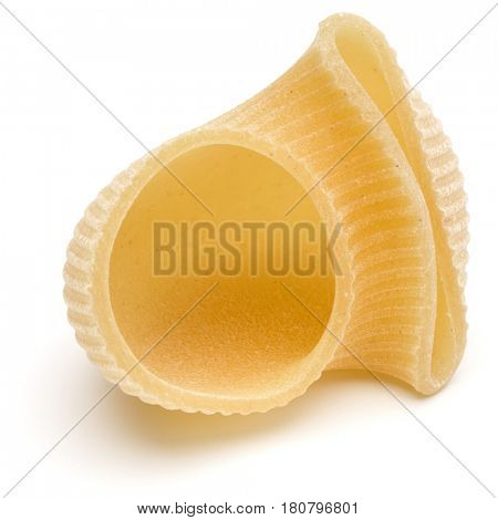 Italian lumaconi isolated on white background. Lumache, snailshell shaped pasta.