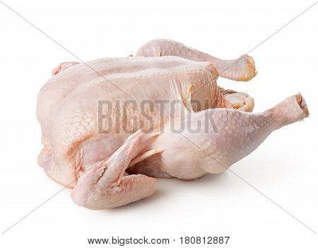 Raw chicken isolated on a white background
