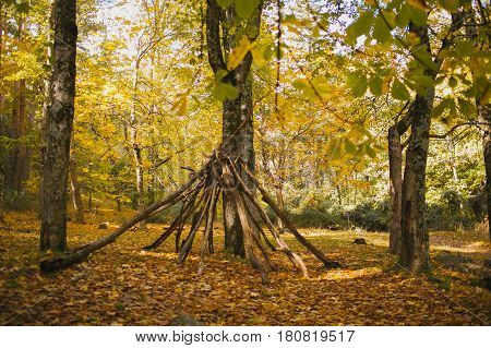 Autumn landscape. Colorful autumn forest. Autumn colors in the forest. Fall in the woods.