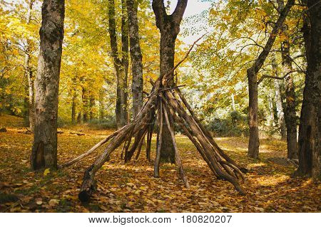 Autumn landscape. Colorful autumn forest. Autumn colors in the forest. Fall in the woods.