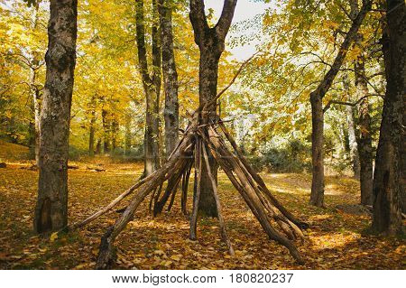 Autumn landscape. Colorful autumn forest. Autumn colors in the forest. Fall in the woods.