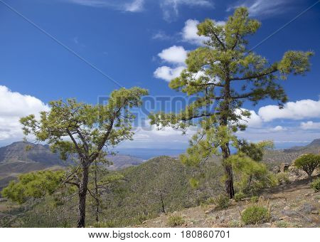 Central Gran Canaria, Nature Reserve Inagua