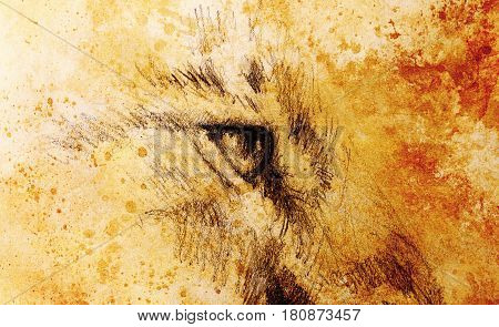 lion eye. animal drawing on vintage paper. Color effect
