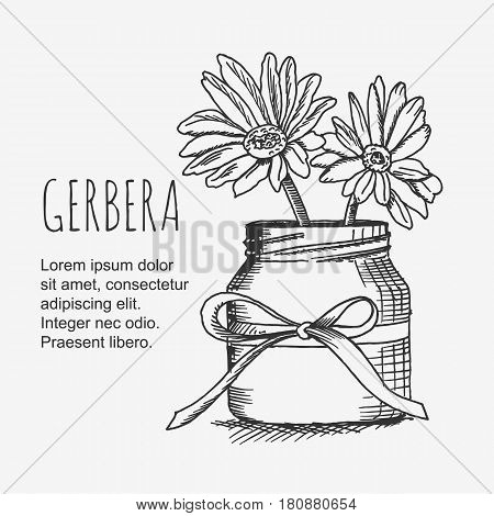 Vector clipart gerbera flower in vase. Lineart monochrome image.