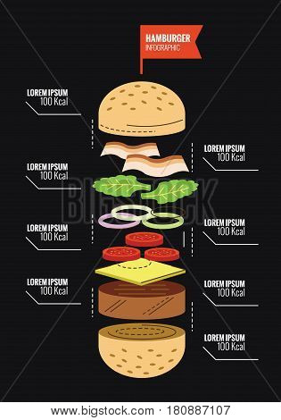 Hamburger ingredient and Calorie info graphics. flat thin line design elements. vector illustration
