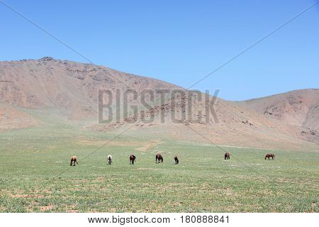 Minimalist Landscape