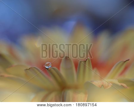 Flowers made with pastel tones.Abstract macro photo with water drops. Artistic Background for desktop.