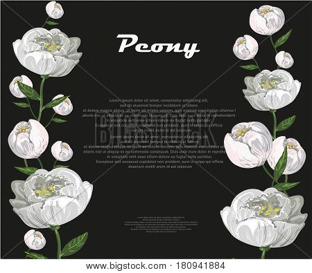 Delicate floral vector round frame with peony and leaves